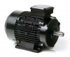 Дивгатель ATHE 100B2 230/400-50 IP55 CLF B5 (4kW 2920 rpm) Lafert, вал d=28